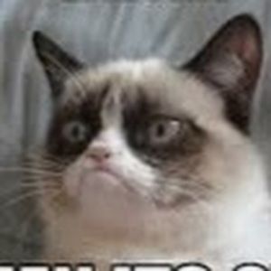 Meet your Posher, Kendall